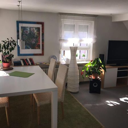 Casa Christina Apartment Orschweier Bagian luar foto